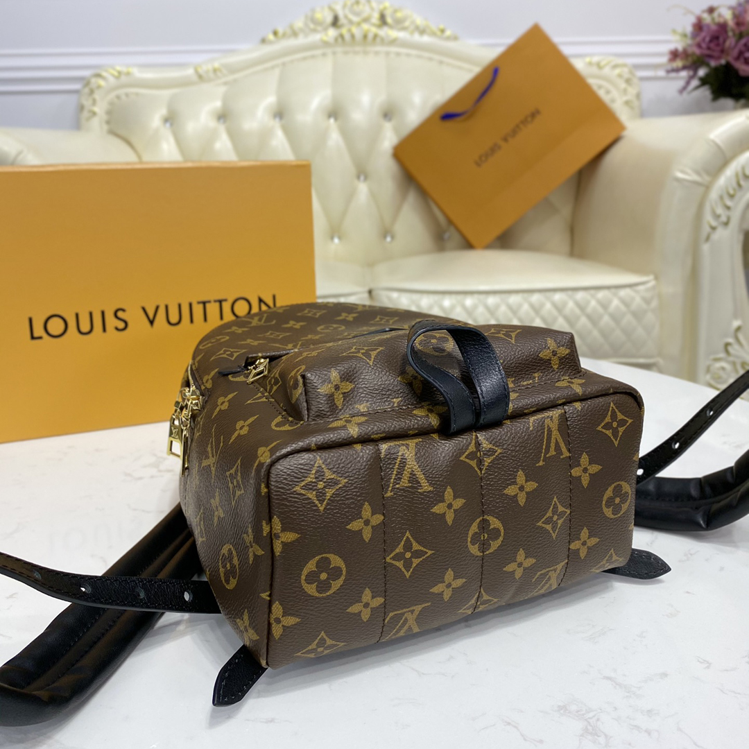 Louis Vuitton PALM SPRINGS MINI Backpack Monogram M44873